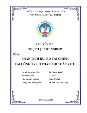 Chuyên đề thực tập tốt nghiệp phân tích rủi ro tài chính tại công ty cổ phần nội thất zito