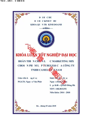 Khóa luận tốt nghiệp quản trị kinh doanh hoàn thiện chiến lược marketing mix cho sản phẩm lốp tubeless của công ty trách nhiệm hữu hạn cao su camel việt nam