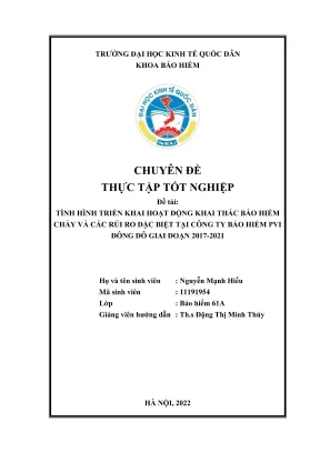 Chuyên đề thực tập tốt nghiệp tình hình triển khai hoạt động khai thác bảo hiểm cháy và các rủi ro đặc biệt tại công ty bảo hiểm pvi đông đô giai đoạn 2017 2021