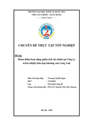 Chuyên đề thực tập tốt nghiệp hoàn thiện hoạt động phân tích tài chính tại công ty tnhh khoáng sản long anh