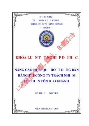 Khóa luận tốt nghiệp quản trị kinh doanh nâng cao hiệu quả hoạt động bán hàng tại công ty trách nhiệm hữu hạn tôn bảo khánh