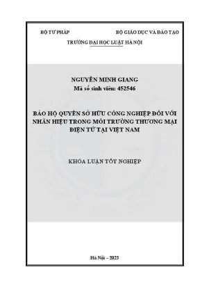 Khoá luận tốt nghiệp bảo hộ quyền sở hữu công nghiệp đối với nhãn hiệu trong môi trường thương mại điện tử tại việt nam