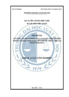 Khóa luận tốt nghiệp tổ chức và hoạt động của cơ quan chuyên môn thuộc uỷ ban nhân dân cấp tỉnh và thực tiễn tại tỉnh vĩnh phúc