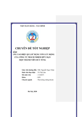 Chuyên đề tốt nghiệp nâng cao hiệu quả sử dụng vốn lưu động của công ty trách nhiệm hữu hạn một thành viên duy tùng