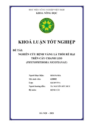 Khóa luận tốt nghiệp nghiên cứu bệnh vàng lá thối rễ hại trên cây chanh leo phytophthora nicotianae