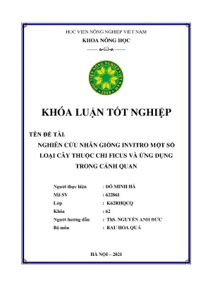 Khóa luận tốt nghiệp nghiên cứu nhân giống invitro một số loại cây thuộc chi ficus và ứng dụng trong cảnh quan