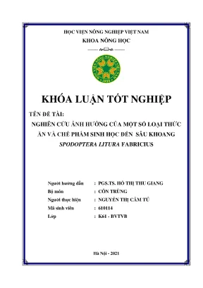 Khóa luận tốt nghiệp nghiên cứu ảnh hưởng của một số loại thức ăn và chế phẩm sinh học đến sâu khoang spodoptera litura fabricius