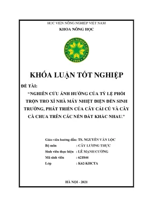Khóa luận tốt nghiệp nghiên cứu ảnh hưởng của tỷ lệ phối trộn tro xỉ nhà máy nhiệt điện đến sinh trưởng phát triển của cây cải củ và cây cà chua trên các nền đất khác nhau