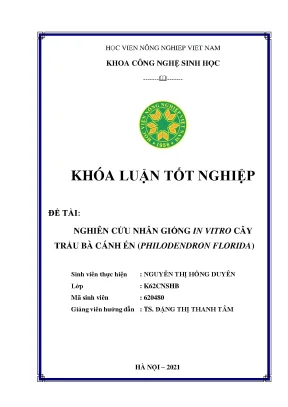 Khóa luận tốt nghiệp nghiên cứu nhân giống in vitro cây trầu bà cánh én philodendron florida