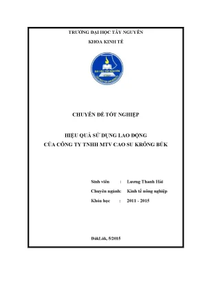 Chuyên đề tốt nghiệp hiệu quả sử dụng lao động của công ty tnhh mtv cao su krông búk