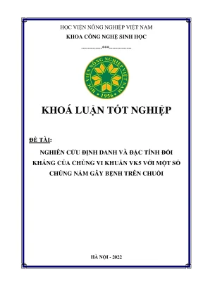 Nghiên cứu định danh và đặc tính đối kháng của chủng vi khuẩn vk5 với một số chủng nấm gây bệnh trên chuối khóa luận tốt nghiệp