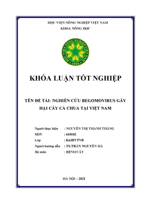 Khóa luận tốt nghiệp nghiên cứu begomovirus gây hại cây cà chua tại việt nam
