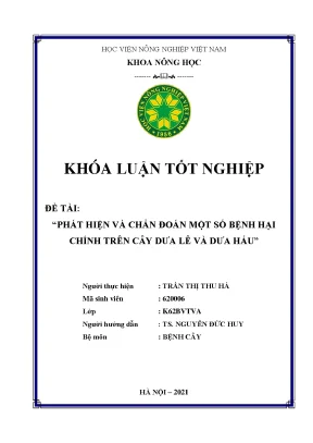Khóa luận tốt nghiệp phát hiện và chẩn đoán một số bệnh hại chính trên cây dưa lê và dưa hấu