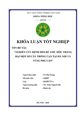 Khóa luận tốt nghiệp nghiên cứu bệnh héo rũ gốc mốc trắng hại một số cây trồng cạn tại hà nội và vùng phụ cận