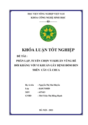 Phân lập tuyển chọn vi khuẩn vùng rễ đối kháng với vi khuẩn gây bệnh đốm đen trên cây cà chua khóa luận tốt nghiệp
