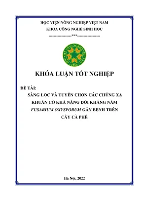 Sàng lọc và tuyển chọn các chủng xạ khuẩn có khả năng đối kháng nấm fusarium oxysporum gây bệnh trên cây cà phê khóa luận tốt nghiệp
