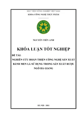 Khóa luận tốt nghiệp nghiên cứu hoàn thiện công nghệ sản xuất bánh men lá sử dụng trong sản xuất rượu ngô hà giang