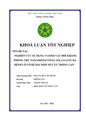 Khóa luận tốt nghiệp nghiên cứu sử dụng vi sinh vật đối kháng phòng trừ nấm rhizoctonia solani gây ra bệnh lở cổ rễ hại một số cây trồng cạn