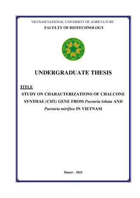 Study on characterizations of chalcone synthae chs gene from pueraria lobata and pueraria mirifica in vietnam khóa luận tốt nghiệp