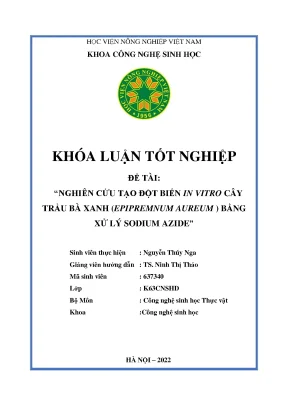 Nghiên cứu tạo đột biến in vitro cây trầu bà xanh epipremnum aureum bằng xử lý sodium azide khóa luận tốt nghiệp