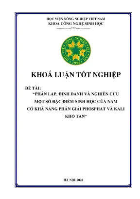 Phân lập định danh và nghiên cứu một số đặc điểm sinh học của nấm có khả năng phân giải phosphat và kali khó tan khóa luận tốt nghiệp