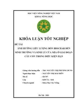 Ảnh hưởng liều lượng bón biochar đến sinh trưởng và sinh lý của mía ở giai đoạn cây con trong điều kiện hạn khóa luận tốt nghiệp