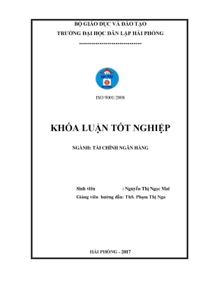 Khóa luận tốt nghiệp tài chính ngân hàng phân tích tình hình tài chính tại công ty thép đan việt