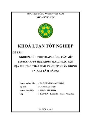 Khóa luận tốt nghiệp nghiên cứu thu thập giống cây mít artocarpus heterophyllus đặc sản địa phương thái bình và ghép nhân giống tại gia lâm hà nội