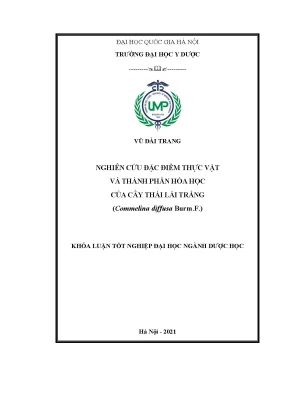 Khóa luận tốt nghiệp nghiên cứu đặc điểm thực vật và thành phần hóa học của cây thài lài trắng commelina diffusa burm f