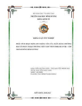 Phân tích hoạt động huy động vốn của ngân hàng thương mại cổ phần ngoại thương vcb chi nhánh bình dương khóa luận tốt nghiệp