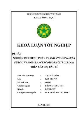 Khóa luận tốt nghiệp nghiên cứu bệnh phấn trắng podosphaera fusca và đốm lá cercospora citrullina trên cây họ bầu bí