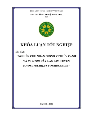 Khóa luận tốt nghiệp nghiên cứu nhân giống vi thủy canh và in vitro cây lan kim tuyến anoectochilus formosanus
