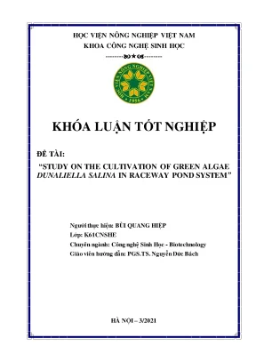 Study on the cultivation of green algae dunaliella salina raceway pond system khóa luận tốt nghiệp