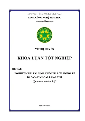 Nghiên cứu tái sinh chồi từ lớp mỏng tế bào cây khoai lang tím ipomoca batatas l khóa luận tốt nghiệp