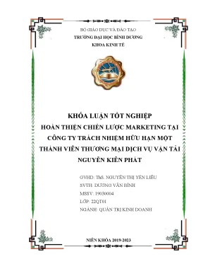 Hoàn thiện chiến lược marketing tại công ty trách nhiệm hữu hạn một thành viên thương mại dịch vụ vận tải nguyễn kiên phát khóa luận tốt nghiệp