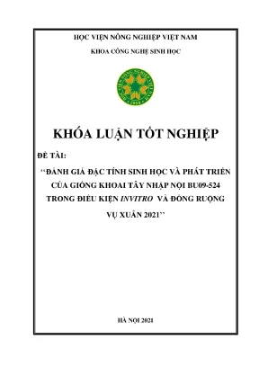 Đánh giá đặc tính sinh học và phát triển của giống khoai tây nhập nội bu09 524 trong điều kiện invitro và đồng ruộng vụ xuân 2021 khóa luận tốt nghiệp