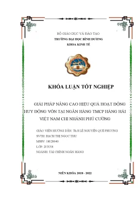 Giải pháp nâng cao hiệu quả hoạt động huy động vốn tại ngân hàng tmcp hàng hải việt nam chi nhánh phú cường khóa luận tốt nghiệp