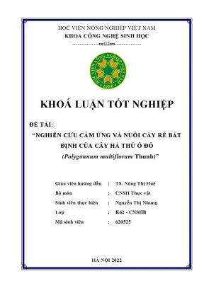 Nghiên cứu cảm ứng và nuôi cấy rễ bất định của cây hà thủ ô đỏ khóa luận tốt nghiệp