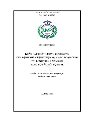 Khóa luận tốt nghiệp khảo sát chất lượng cuộc sống của bệnh nhân bệnh thận mạn giai đoạn cuối tại bệnh viện e năm 2020 bằng bộ câu hỏi eq 5d 5l