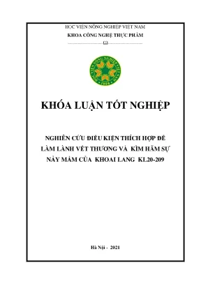 Khóa luận tốt nghiệp nghiên cứu điều kiện thích hợp để làm lành vết thương và kìm hãm sự nảy mầm của khoai lang kl20 209