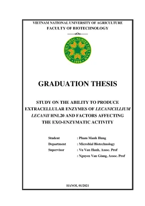 Study on the ability to produce extracellular enzymes of lecanicillium lecanii hnl20 and factors affecting the exo enzymatic activity khóa luận tốt nghiệp