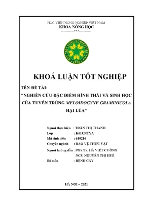Khóa luận tốt nghiệp nghiên cứu đặc điểm hình thái và sinh học của tuyến trùng meloidogyne graminicola hại lúa