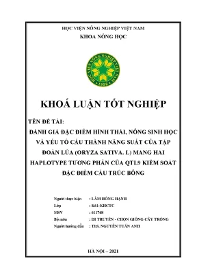 Khóa luận tốt nghiệp đánh giá đặc điểm hình thái nông sinh học và yếu tố cấu thành năng suất của tập đoàn lúa oryza sativa l mang hai haplotype tương phản của qtl9 kiểm soát đặc điểm cấu trúc bông