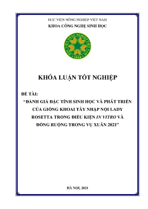 Đánh giá đặc tính sinh học và phát triển của giống khoai tây nhập nội lady rosetta trong điều kiện in vitro và đồng ruộng trong vụ xuân 2021 khóa luận tốt nghiệp
