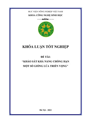 Khảo sát khả năng chống hạn một số giống lúa triển vọng khóa luận tốt nghiệp
