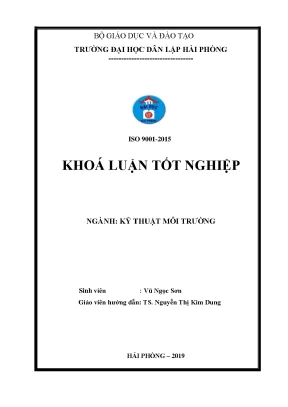 Khoá luận tốt nghiệp nghiên cứu khả năng hấp thụ dung môi hữu cơ benzen và toluen của một số chất hoạt động bề mặt
