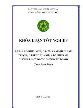 Khóa luận tốt nghiệp tìm hiểu về đặc điểm và mô hình cấu trúc đặc trưng của nhân tố phiên mã nuclear factor y ở giống chó dingo