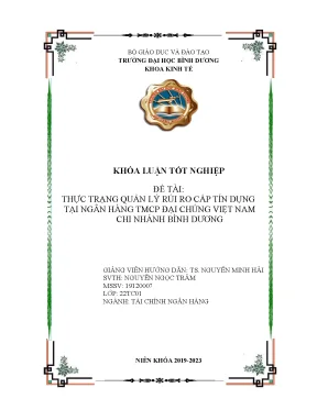 Thực trạng quản lý rủi ro cấp tín dụng tại ngân hàng tmcp đại chúng việt nam chi nhánh bình dương khóa luận tốt nghiệp