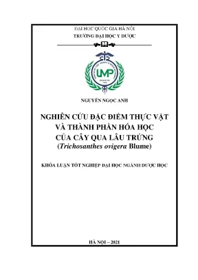 Khóa luận tốt nghiệp nghiên cứu đặc điểm thực vật và thành phần hóa học của cây qua lâu trứng trichosanthes ovigera blume