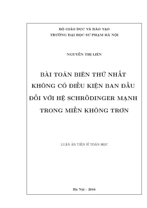 1729 bài toán biên thứ nhất không có điều kiện ban đầu đối với hệ schrödinger mạnh trong miền không trơn luận văn tốt nghiệp